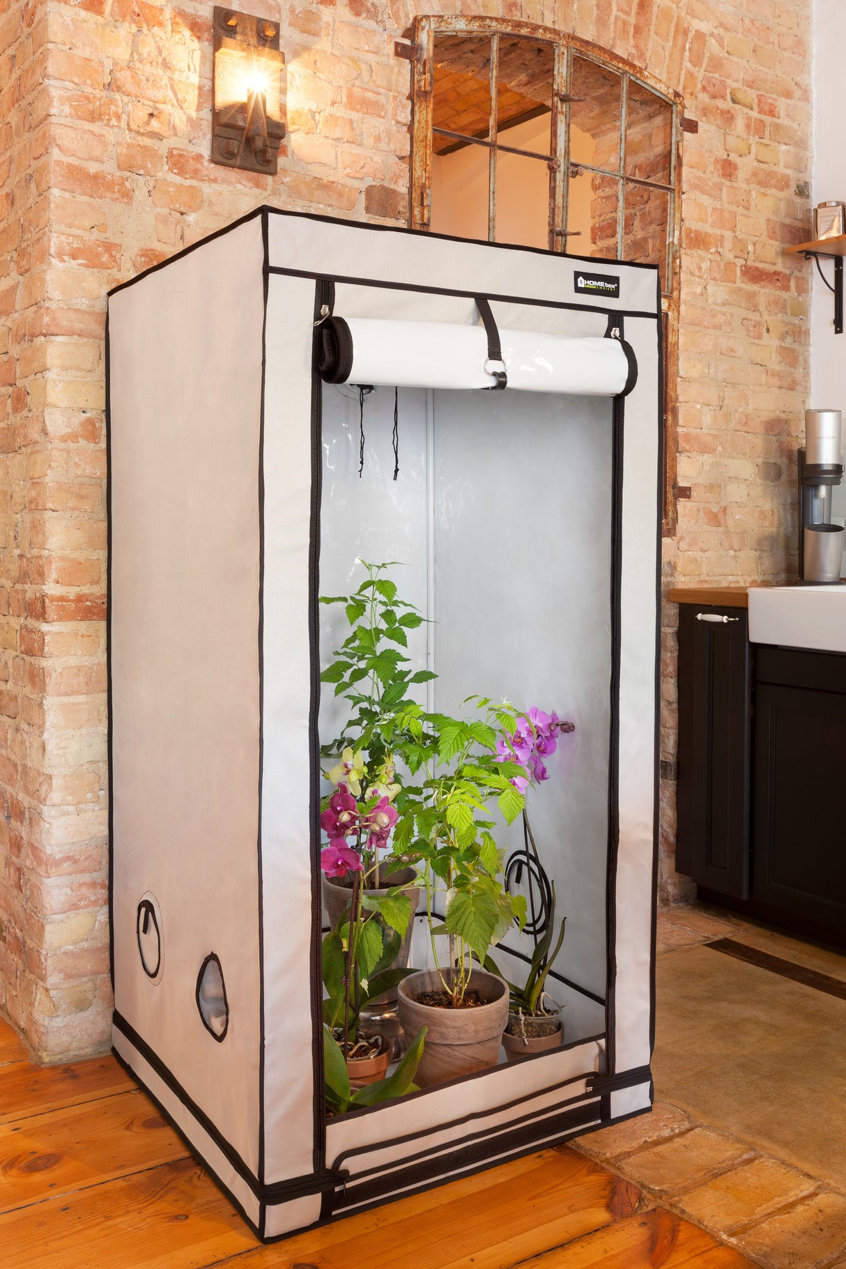 HOMEbox® Ambient Q60+ / 60x60x120 cm