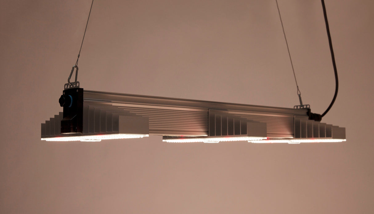 SANlight EVO 3-100 1.5, 200W