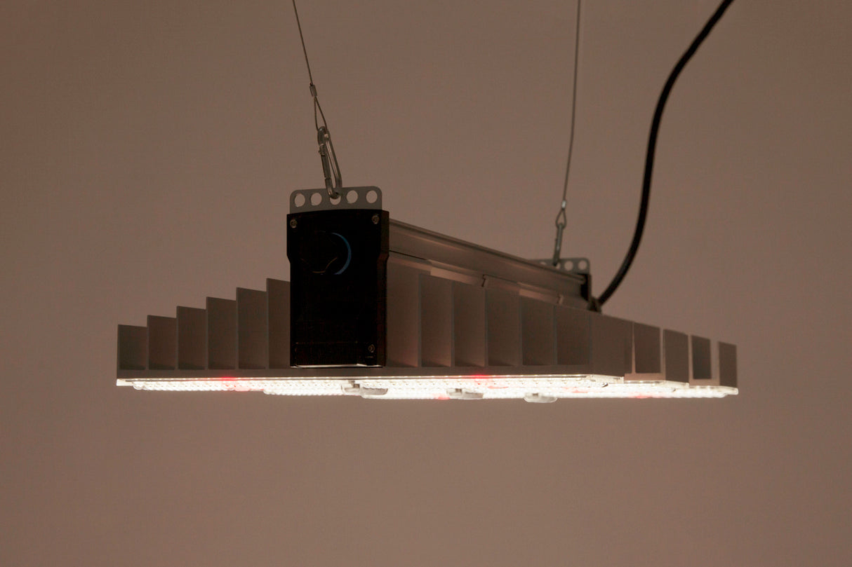 SANlight EVO 3-60 1.5, 200W