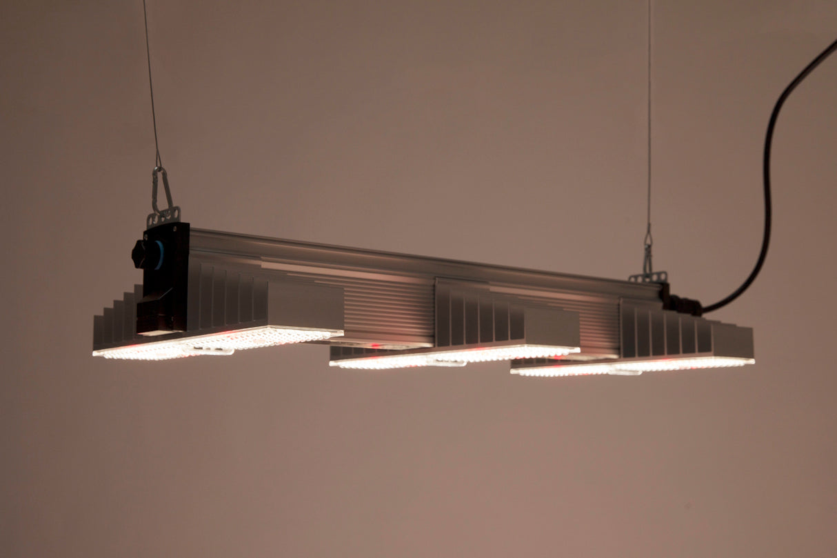 SANlight EVO 3-80 1.5, 200W