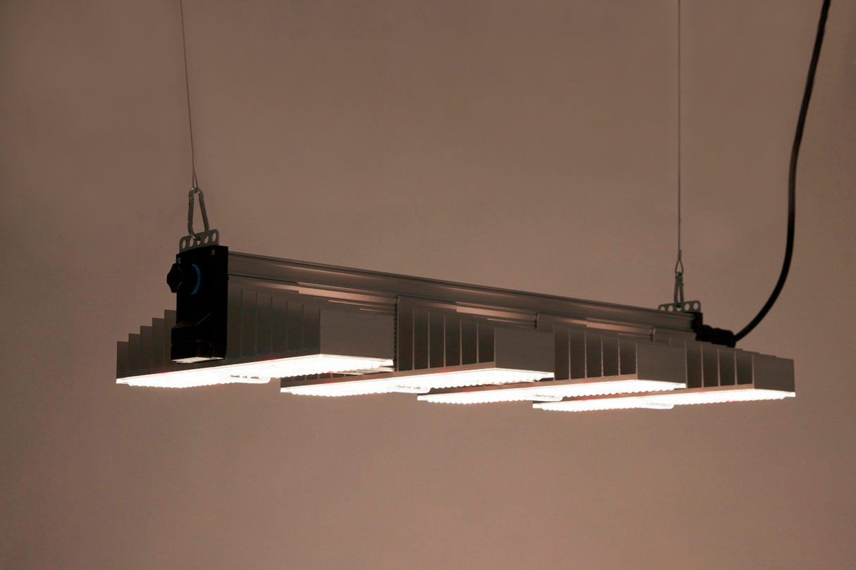 SANlight EVO 4-80 1.5, 265W