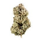 Gorilla Glue Bulk fem.