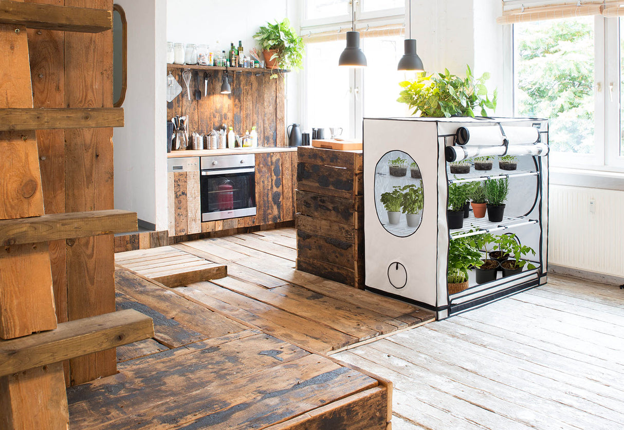 HOMEbox® Vista Medium / 125x65x120cm