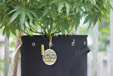 BudPots® von BudTrainer® - 18,9 Liter