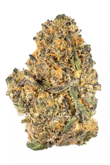 Mendo Breath